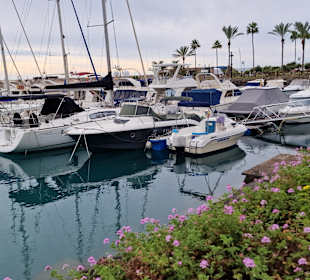Yachthafen Puerto Rico