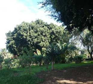 Unterwegs im Taoro-Park