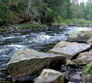 Algonquin Provincial Park, Whiskey Rapids Trail