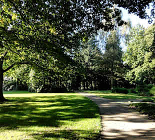 Spaziergang durch Knoops Park