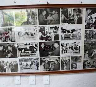 Früher lebte die Familie von der Rinderzucht