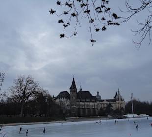 Burganlage Vajda-Hunyad