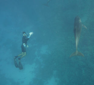Wer kann wohl länger die Luft anhalten?