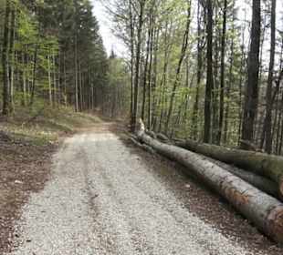 Wanderweg Hochgehswiggert