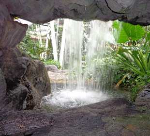 Der Park unter dem Riesenrad