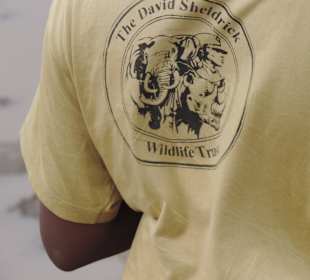 Babyfant-Rettung auf dem Weg nach Galdessa