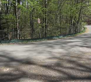 Waldsportpfad im Wasenwald