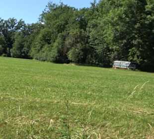 Waldinformationssystem „Lebendiger Wald“