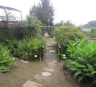 Botanischer Garten Bergamo