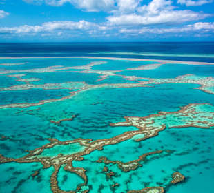 Great Barrier Reef 