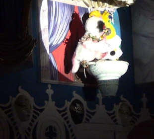 Themenbereich Italien