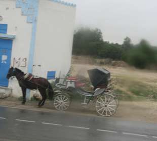 Kutsche für einen Ausflug