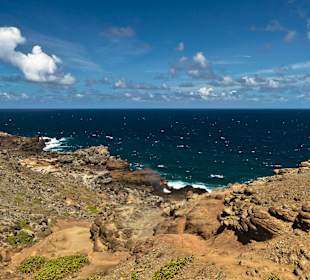 Best Of Maui