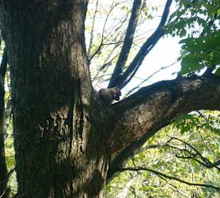 Überrall die Kleinen