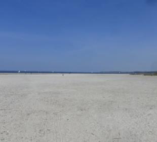 Unterwegs am Naturstrand auf der Halbinsel Priwall
