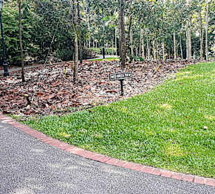 Botanischer Garten