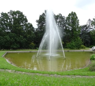 Höhenpark Killesberg