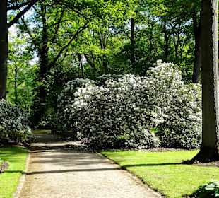 Spaziergang durch den Rhododendronpark im Mai