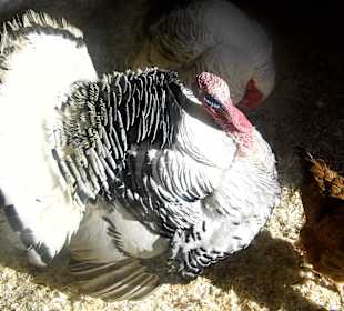 ImpressionOstern2013