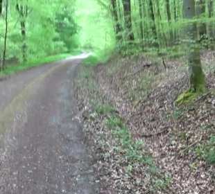 Naturpark Schönbuch