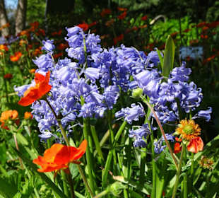 Eindrücke vom Spaziergang durch den Stadtpark