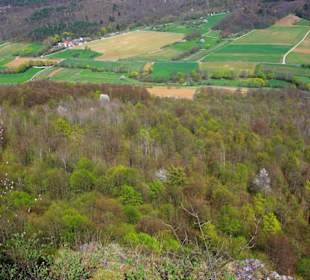 Oben am Walberla Nordseite