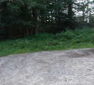 Wanderparkplatz Reutlinger Weg