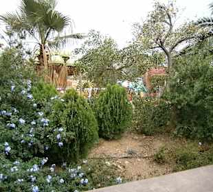 Порт Авентура Салоу