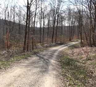 Geologischer Lehrpfad Kirnbachtal