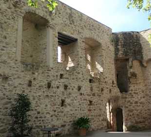 Die Kurfürstliche Burg Eltville