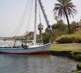 Les rives fertiles du Nil.