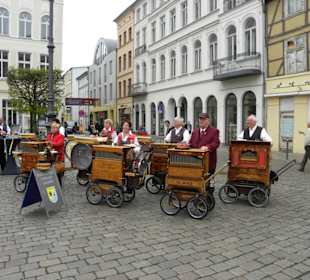 Altstadt Schwerin, Frühlingserwachen