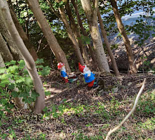 Stadtrundgang Sankt Andreasberg