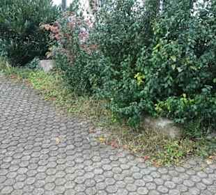 Kath. Stadtkirche St. Laurentius