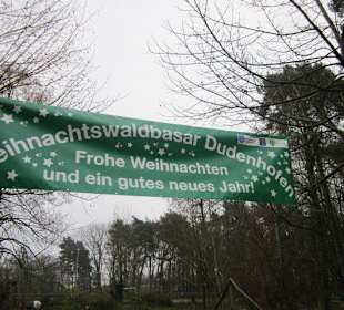 Waldbasar in Dudenhofen