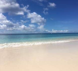Playa Kalki / Alice in Wonderland