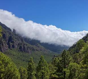 Die Wolken fallen 