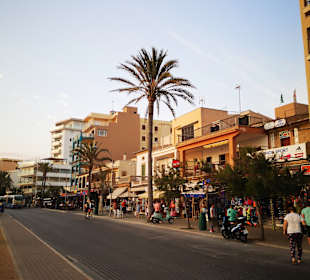 Wandern Playa de Palma - Palma