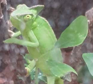 Meeresaquarium am Fichtelberg