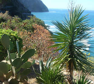 Der Liebesweg am Meer entlang