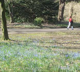 Der Botanische Garten im März 14