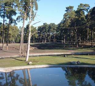 Serengeti Park