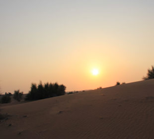 Sonnenuntergang Kamel Trip