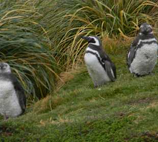 In Gruppen vergeht die Wartezeit schneller