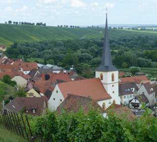 Escherndorf: Eindrücke einer Weinbergeswanderung