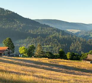 Rundwanderweg Baiersbronn
