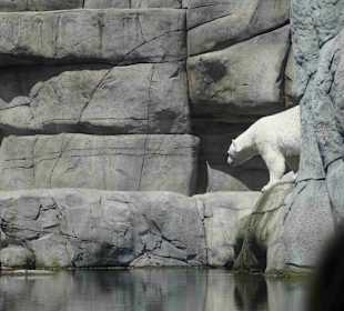 Tierpark Hagenbeck