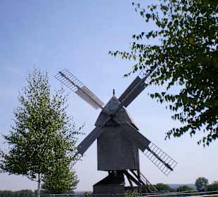 Bockwindmühle 