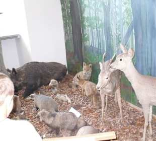 Muzeum na Świętym Krzyżu