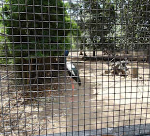 Stadtrundgang Sydney